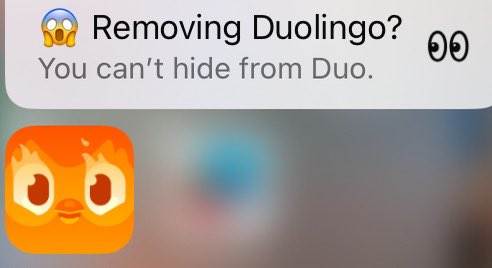 Duolingo notifikacija