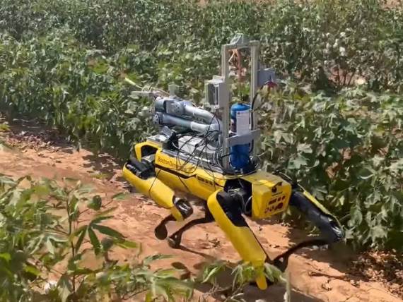 Robot pas Spot _ bacač plamena _ Foto YouTube New Scientist.jpg