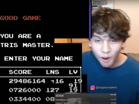 Klinac obrnuo tetris _ YouTube Michael Khanh (dogplayingtetris).jpg