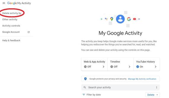 My Google Activity _ Delete activity by _ Foto Google.jpg