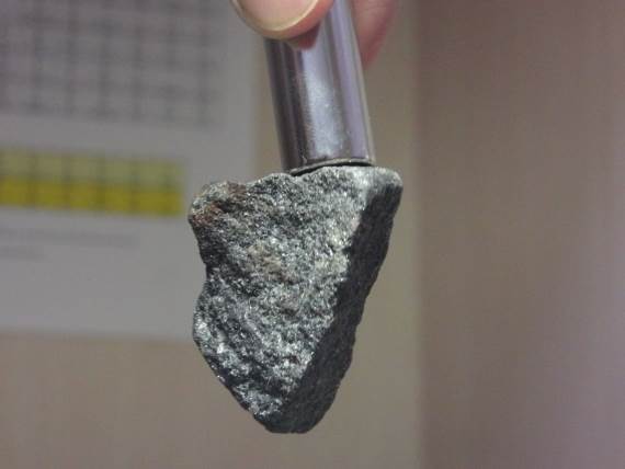 Magnet _ Foto Wikimedia GOKLuLe 盧樂.jpg