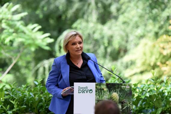 Svetlana Jovanović Mitić