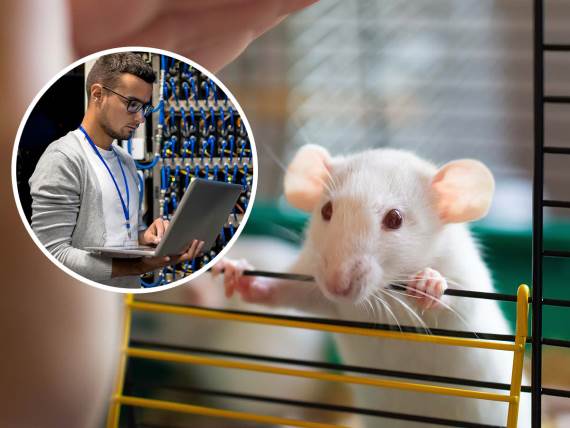 Virtuelni mozak miša u superkompjuteru