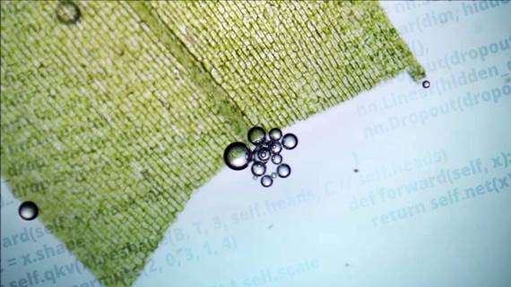 Fotosinteza pod mikroskopom i AI kod kao ilustracija