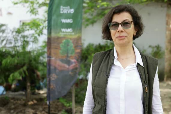 Slađana Dabić, JP „Vojvodinašume“