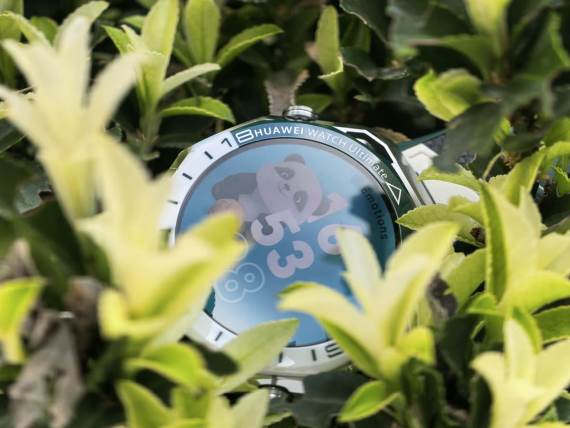 Huawei Watch Ultimate 2 Green Edition ekran