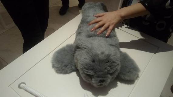 Izložba robota u Becu