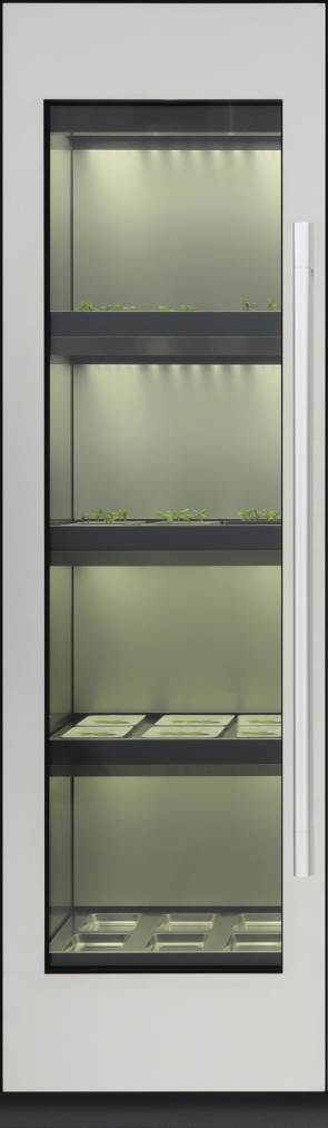 LG Indoor Garden CES 2020 cena, prodaja, kupovina, LG Indoor Garden u Srbiji