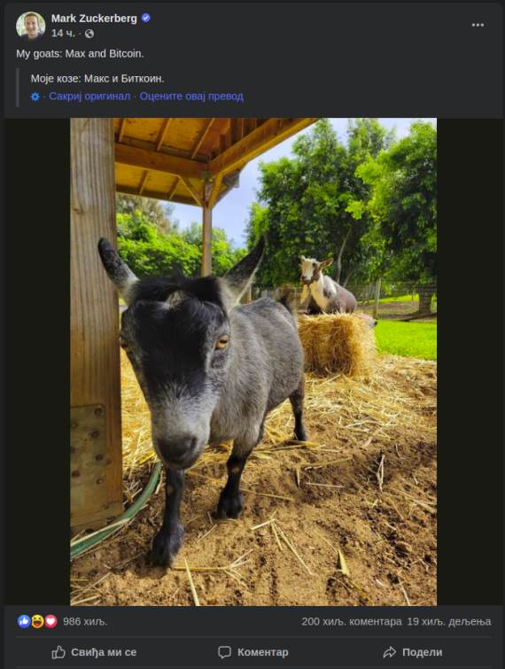 mark zuckerberg goat post facebook koze i mark cukerberg