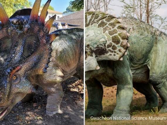 Triceratops.jpg