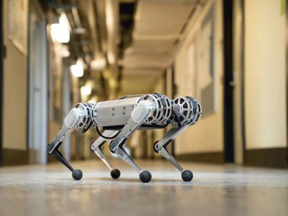 Cheetah robot