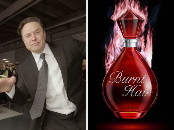 Ilon Mask Burnt Hair.jpg