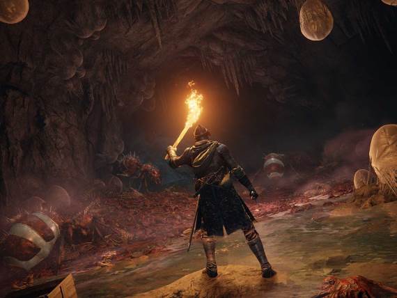 Elden Ring izglasan za najviše obrtanu igri i od koje se odustalo