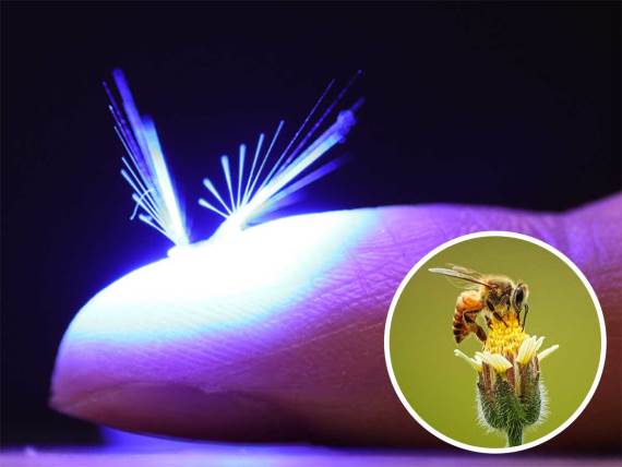 Leteći roboti vile za oprašivanje će zameniti pčele