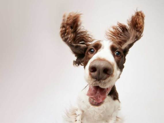 A1 nove NEO23 postpejd tarife 2023