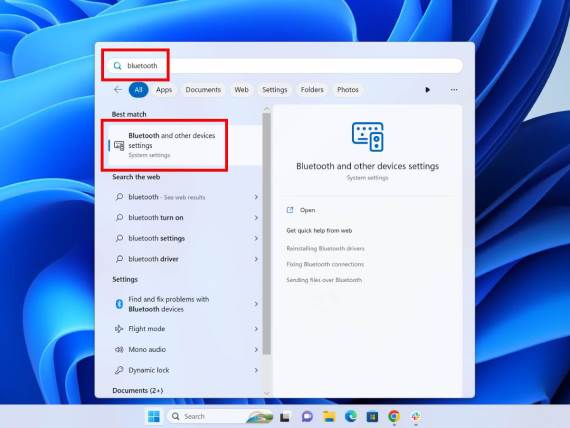 bluetooth and other devices settings