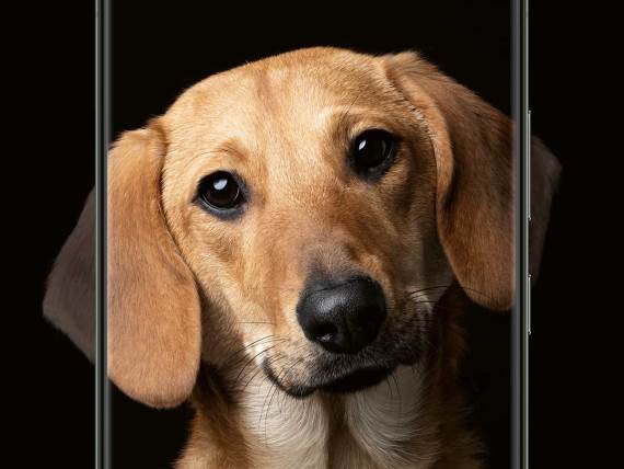 Udomljavanje pasa kampanja Vidi više od boja Samsung