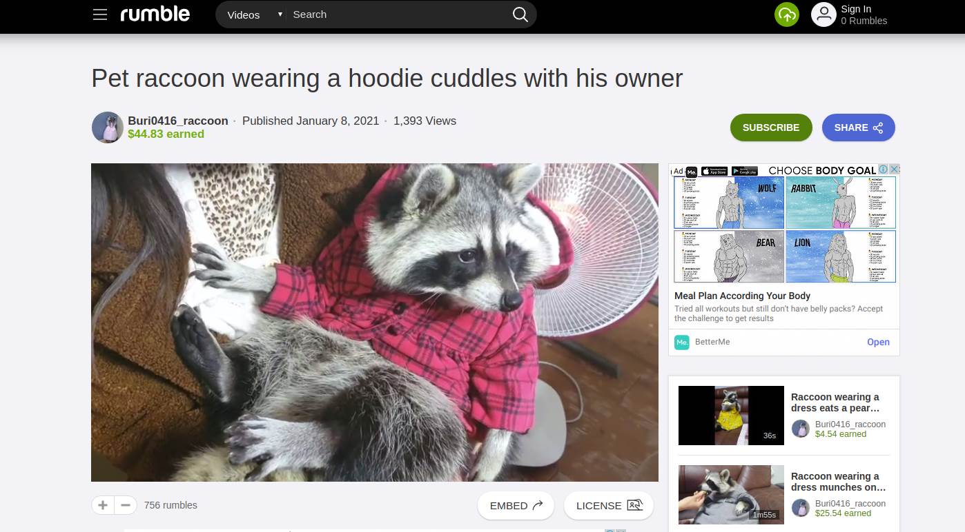 google monopol video snimci youtube rumble