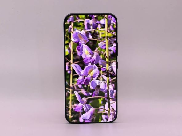 Honor 600 Pro ekran