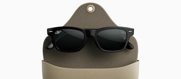 Ray-Ban Meta Audio u futroli
