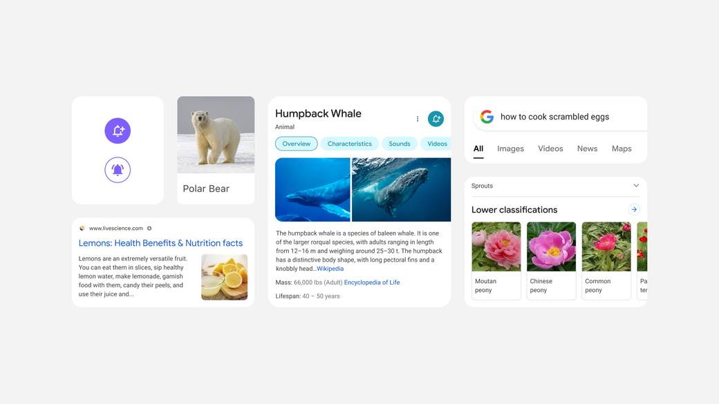 7 stvari za lakše pretraživanje na Google