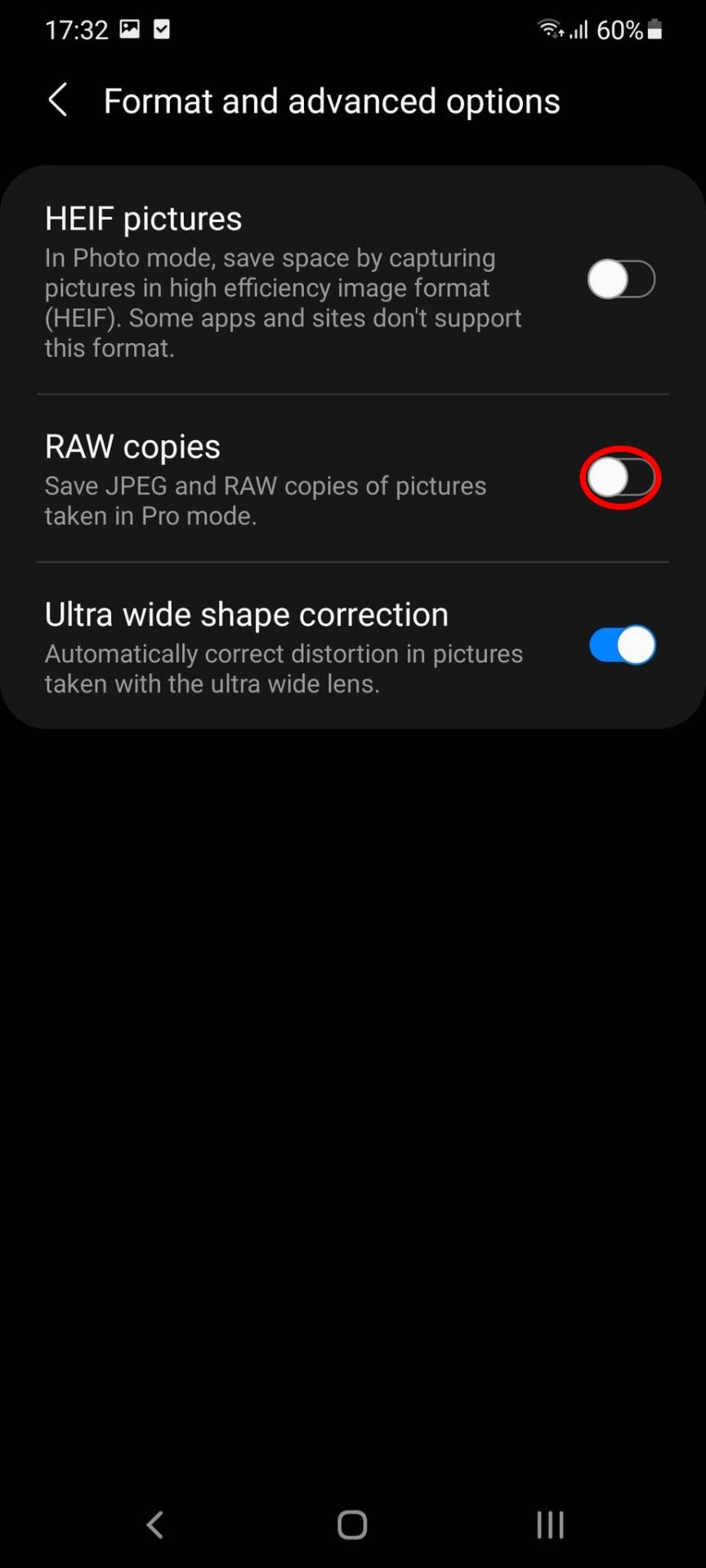 puna memorija telefona raw format kamere slika