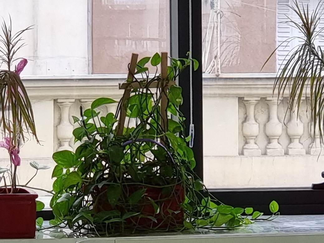 kvalitet kamera galaxy s21 ultra i galaxy s20 ultra koji ima bolju kameru dxo mark ocena