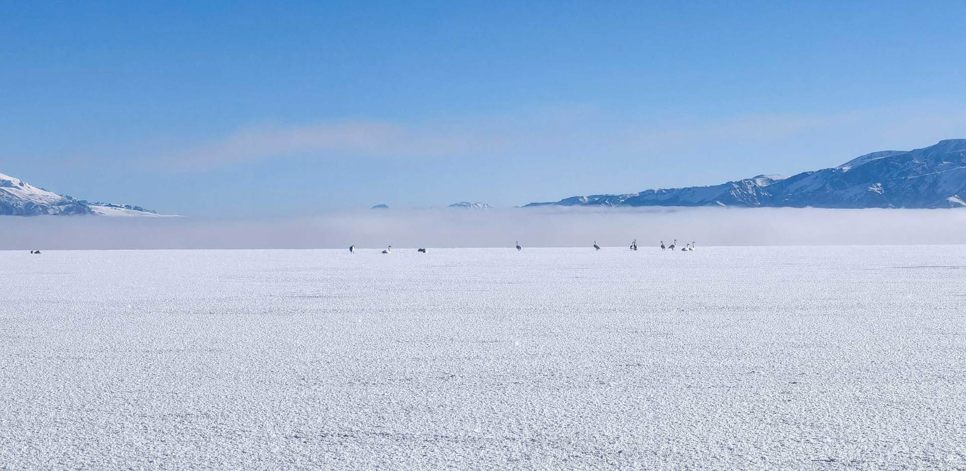 huawei mate x2 savitljivi telefon premijera slike video cena kako radi foldable dizajn utisci opis