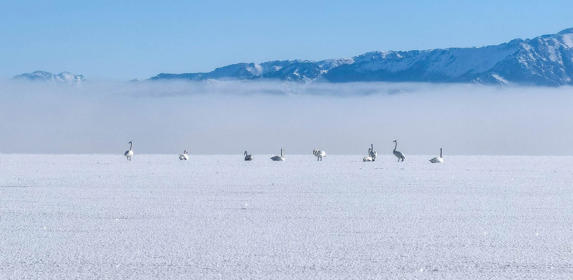 huawei mate x2 savitljivi telefon premijera slike video cena kako radi foldable dizajn utisci opis