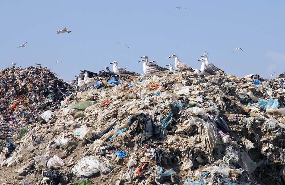 prijavi deponiju aplikacija kako radi preuzimanje android iphone