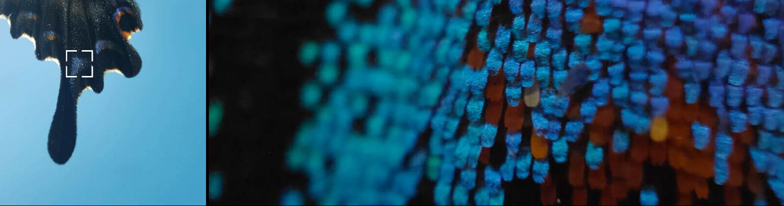 Prvi proizvođač sa mikroskop kamerom