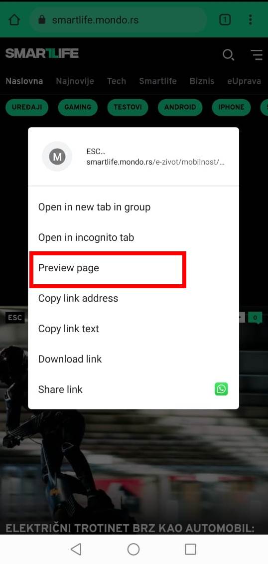 chrome preview page rikrol prevara