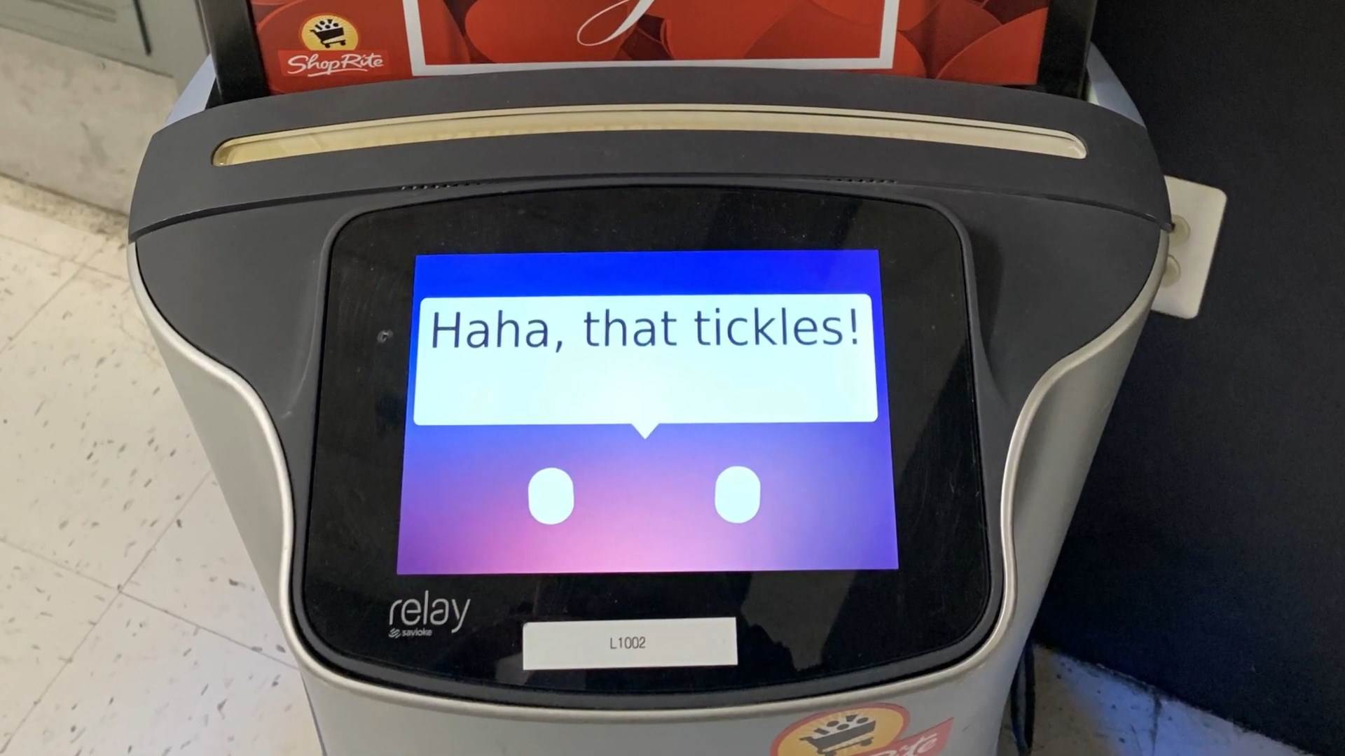 prati vas po prodavnici dok nešto ne kupite ovaj robot je prava napast za sladokusce