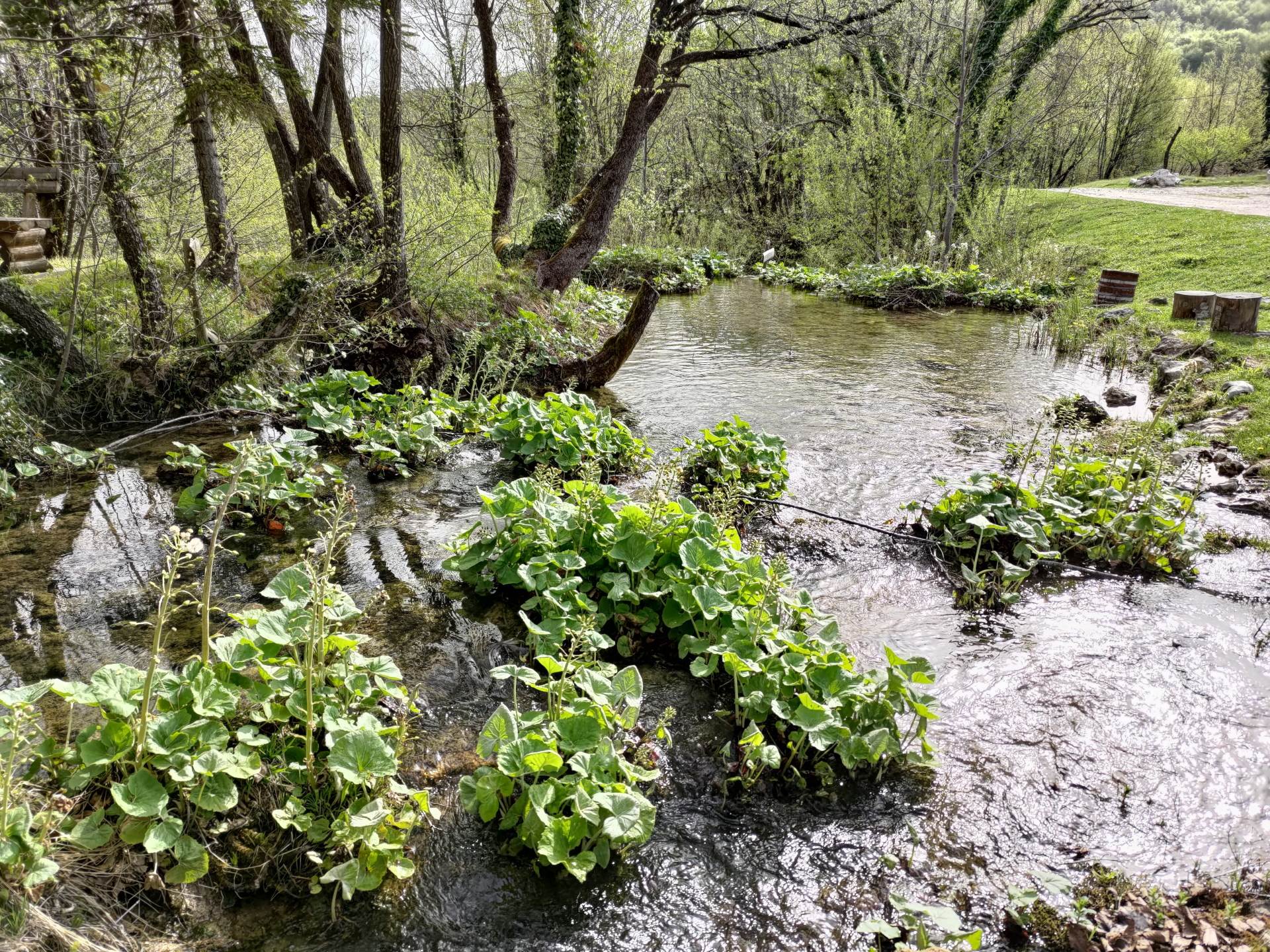 asus zenfone 8 flip pametni telefon male dimenzije premijum hardver snapdragon 888