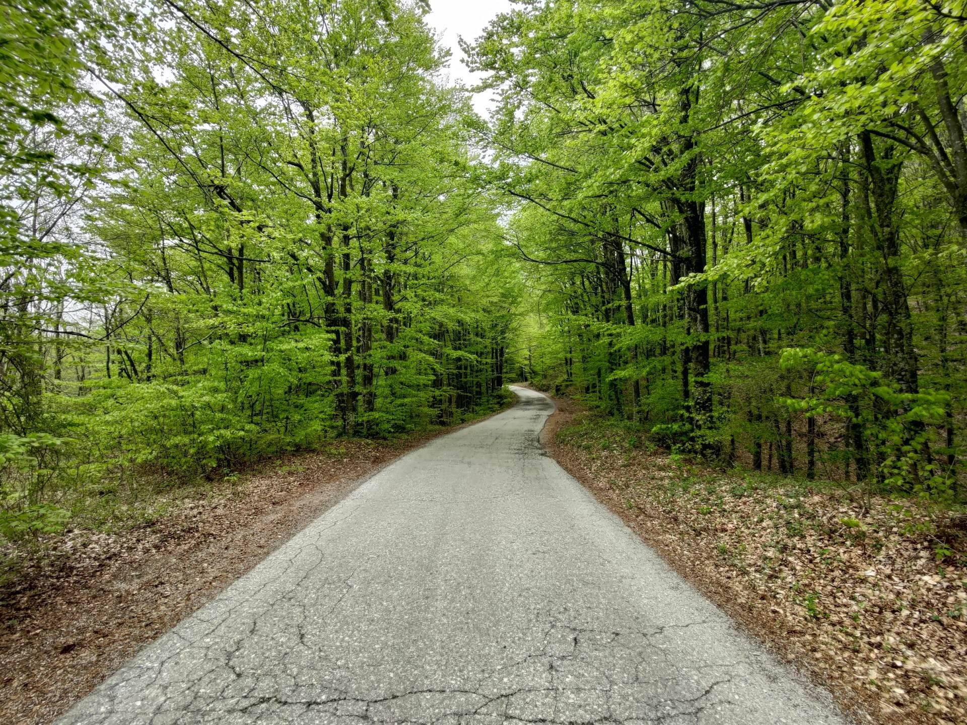 asus zenfone 8 flip pametni telefon male dimenzije premijum hardver snapdragon 888