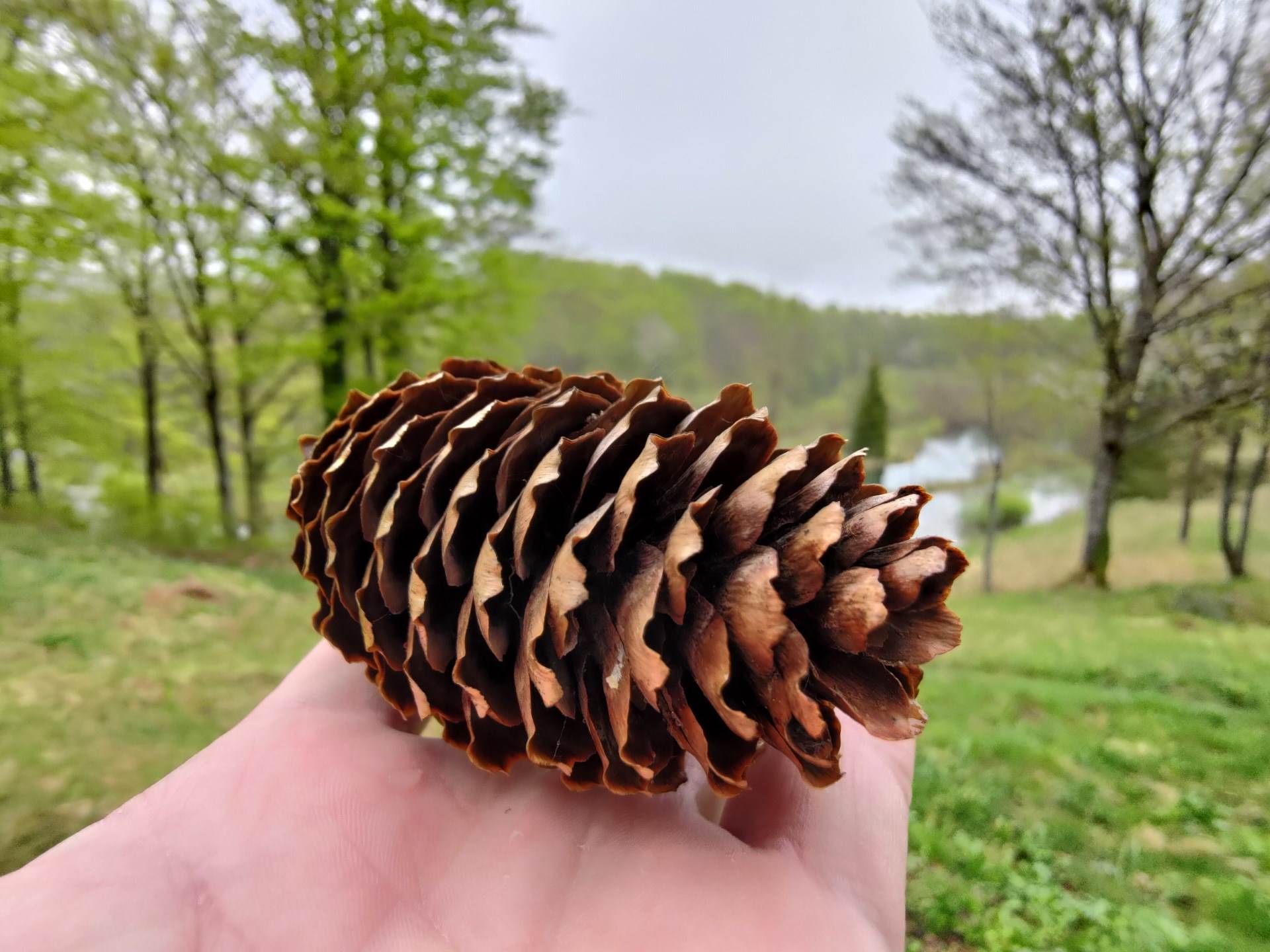 asus zenfone 8 flip pametni telefon male dimenzije premijum hardver snapdragon 888