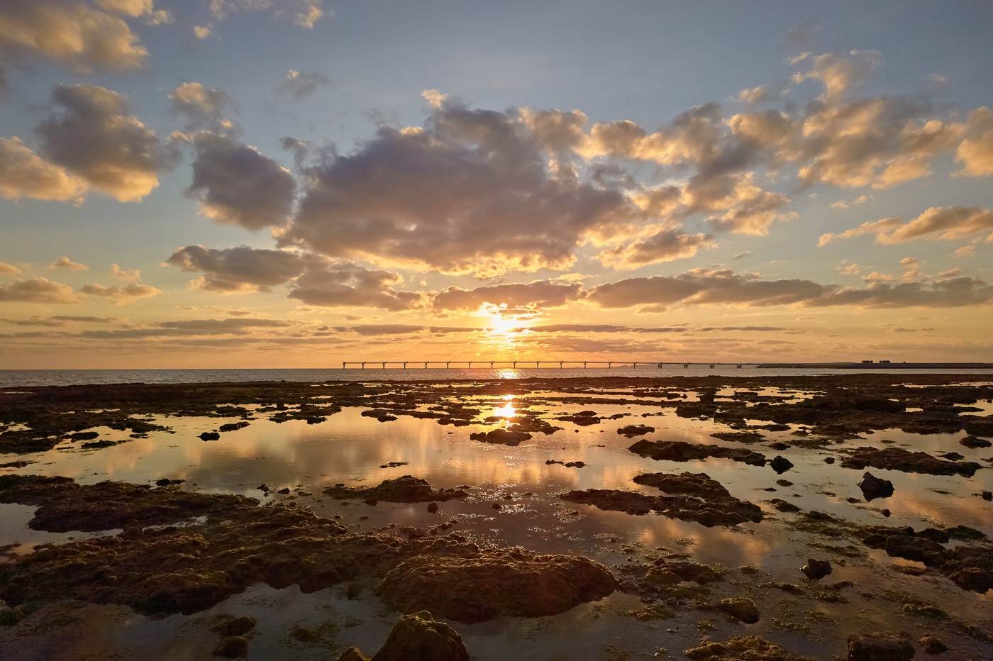 najveci senzor u pametnom telefonu najbolja kamera sharp leica aquos r6