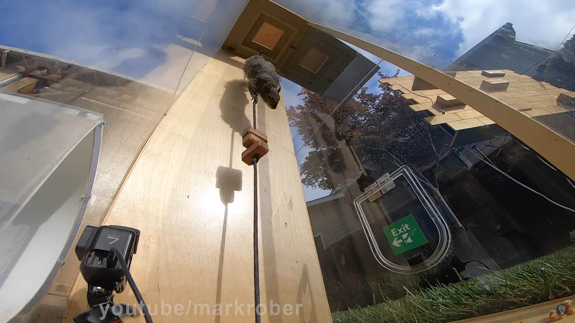 mark rober poligon za veverice nemoguca misija