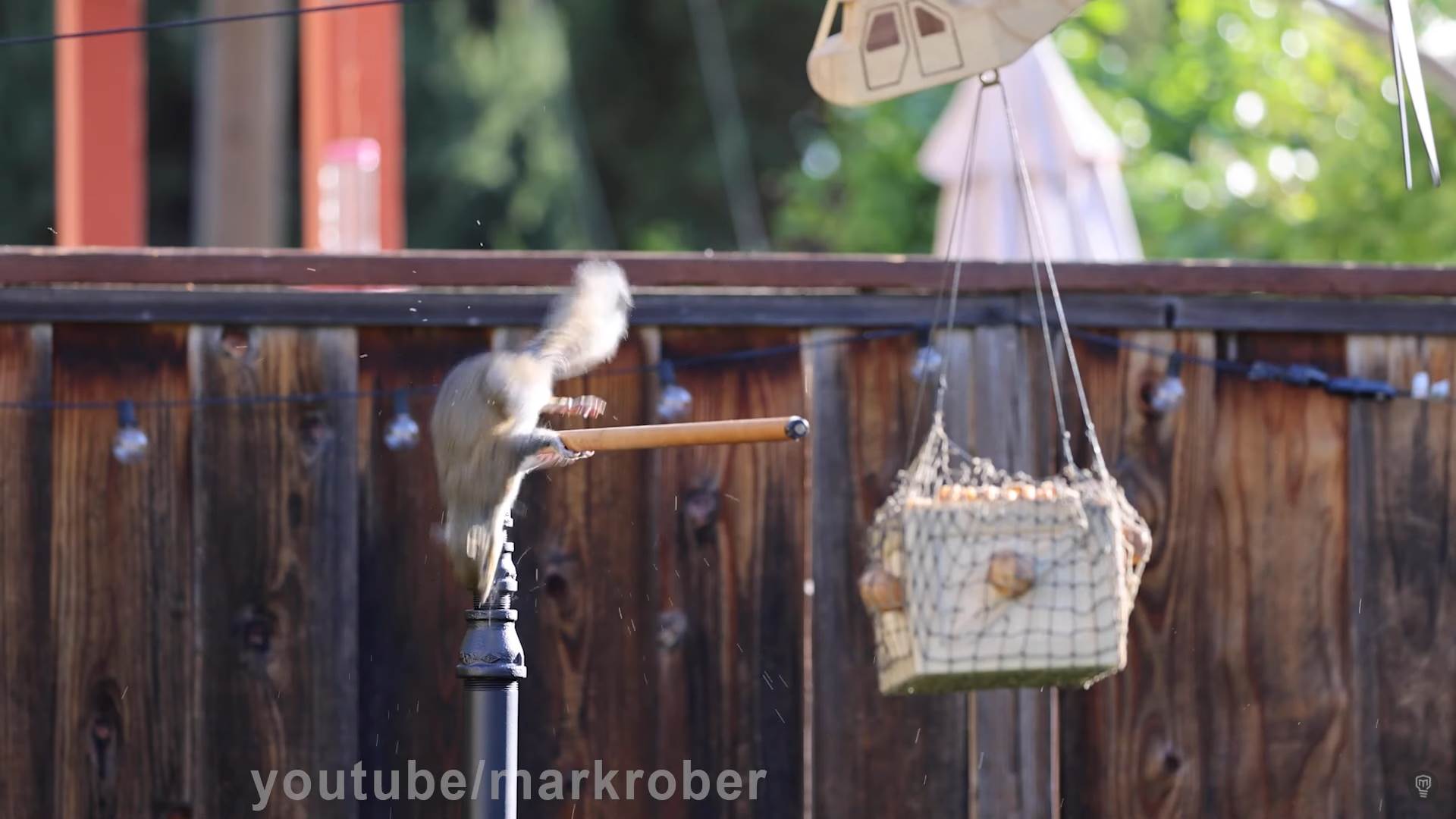 mark rober poligon za veverice nemoguca misija
