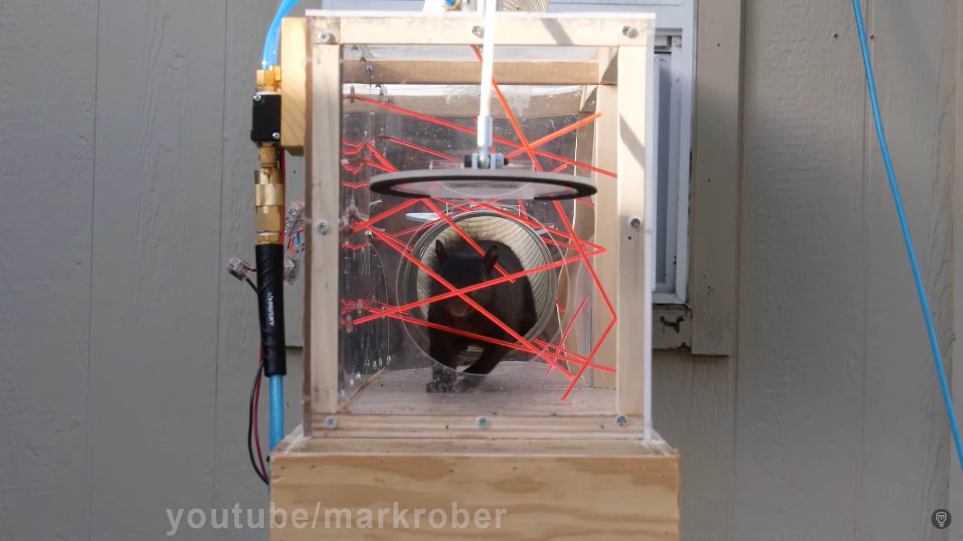 mark rober poligon za veverice nemoguca misija