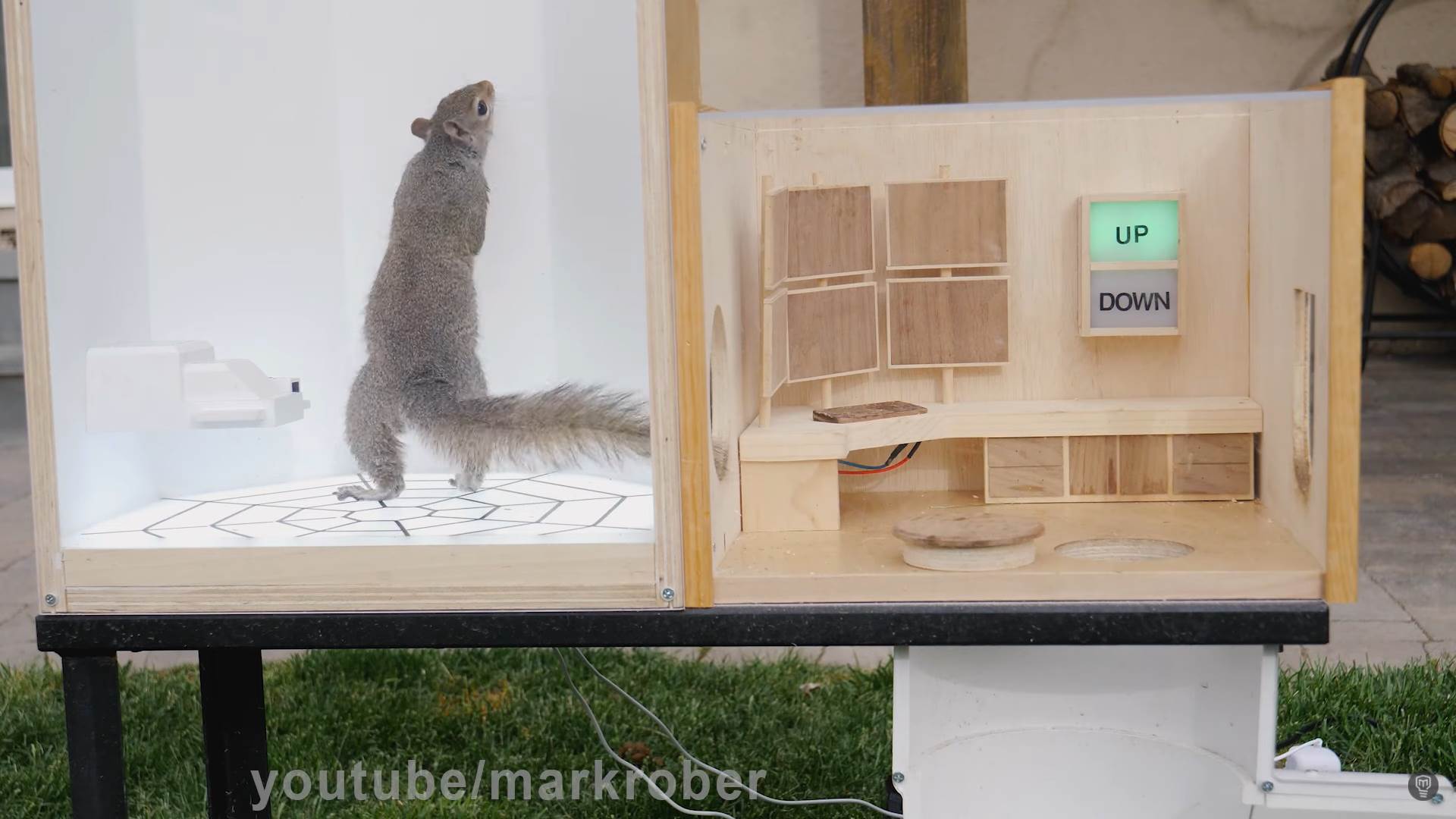 mark rober poligon za veverice nemoguca misija