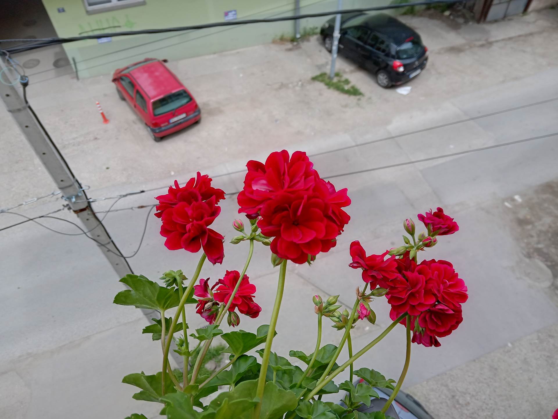 nokia g10 kupovina cena 160 evra saveti utisci kako radi kvalitet jeftin telefon kamera foto video