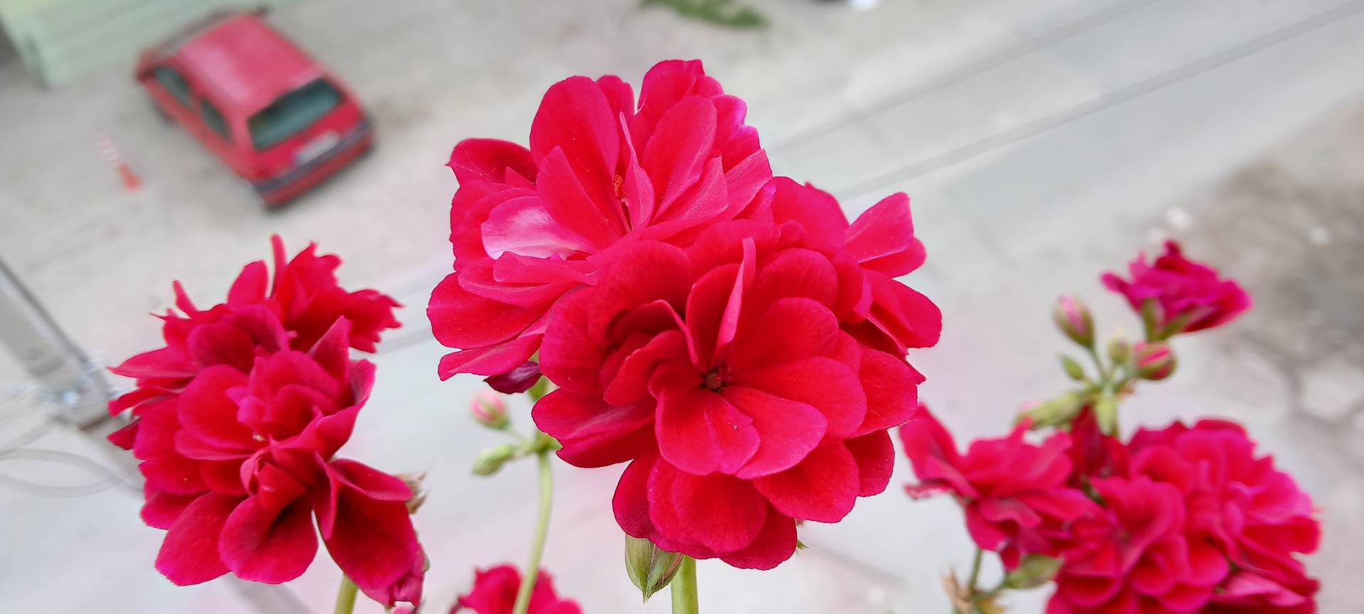 nokia g10 kupovina cena 160 evra saveti utisci kako radi kvalitet jeftin telefon kamera foto video