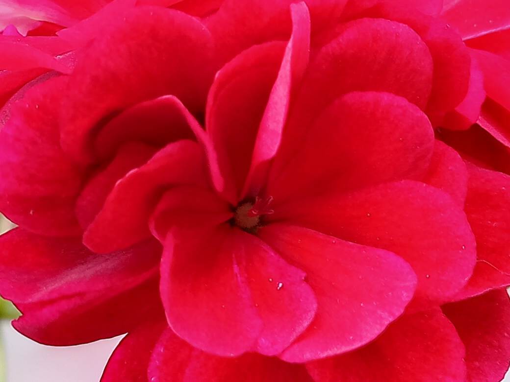 nokia g10 kupovina cena 160 evra saveti utisci kako radi kvalitet jeftin telefon kamera foto video