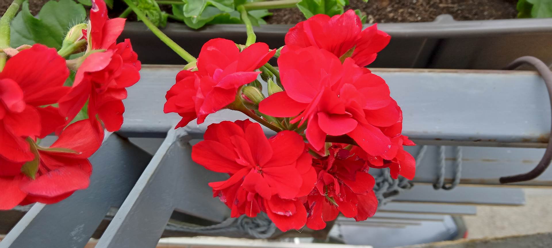 nokia g10 kupovina cena 160 evra saveti utisci kako radi kvalitet jeftin telefon kamera foto video