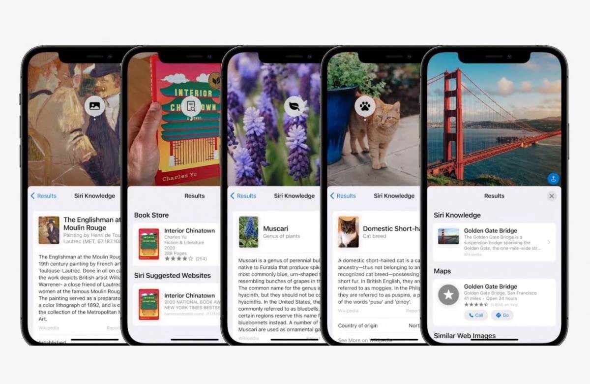 iOS 15.0.2 hitan iPhone update