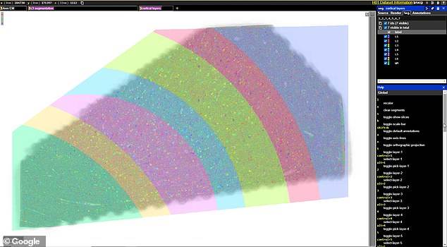 ljudski mozak 3d mapa google harvard projekat
