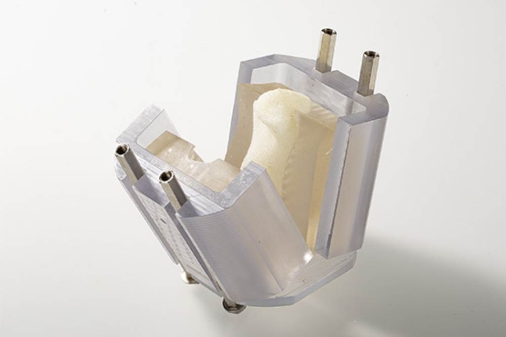 gordana vunjak-novakovic srpska naučnica nagrada