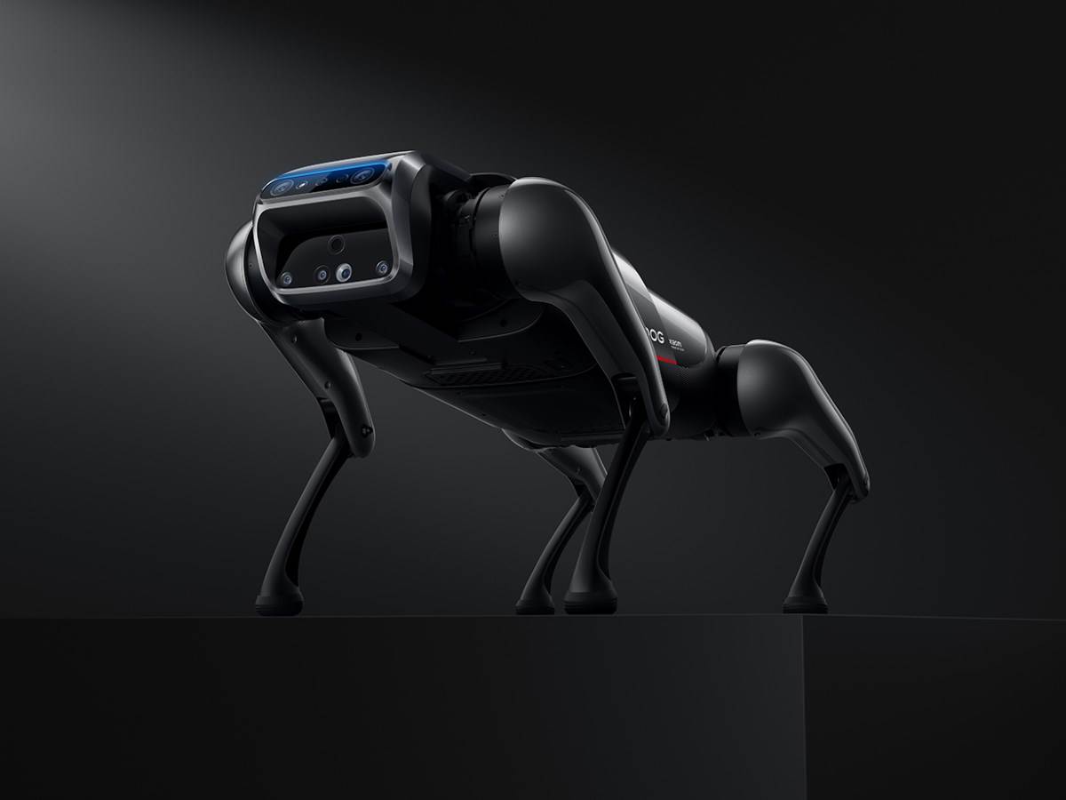 Xiaomi CyberDog robot