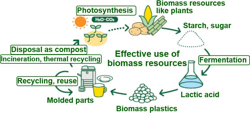 Proces efektivnog korišćenja biomase